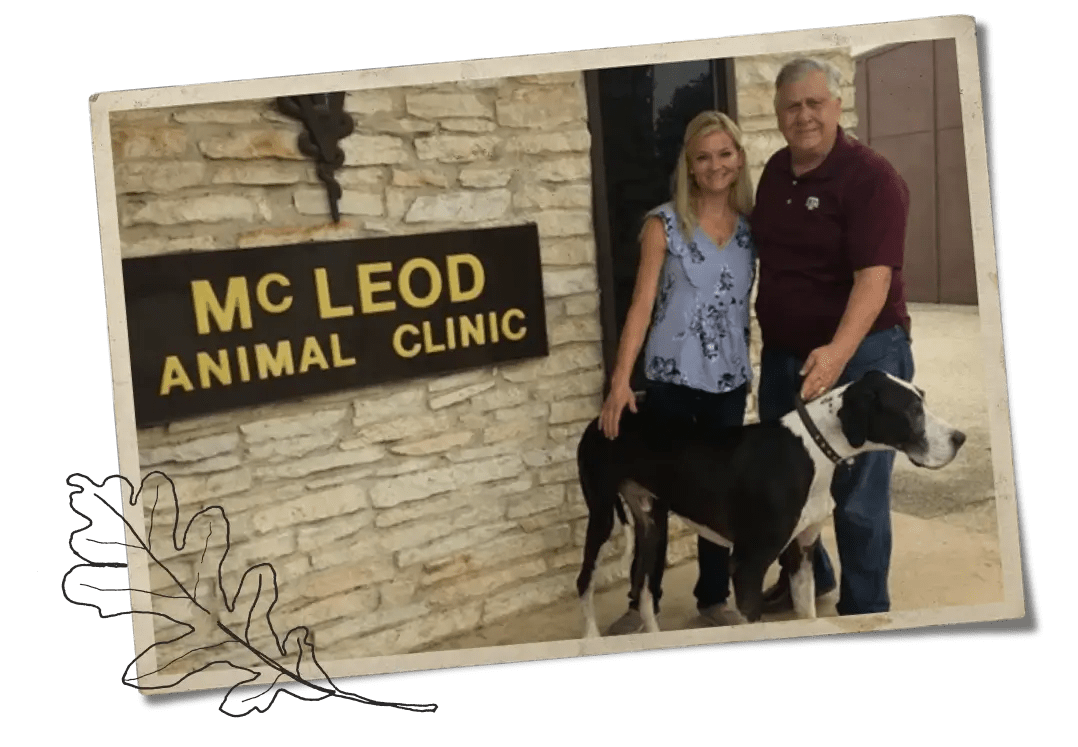 Dogwood Animal Clinic About Page